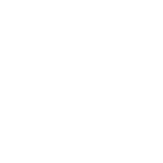 Heineken Silver