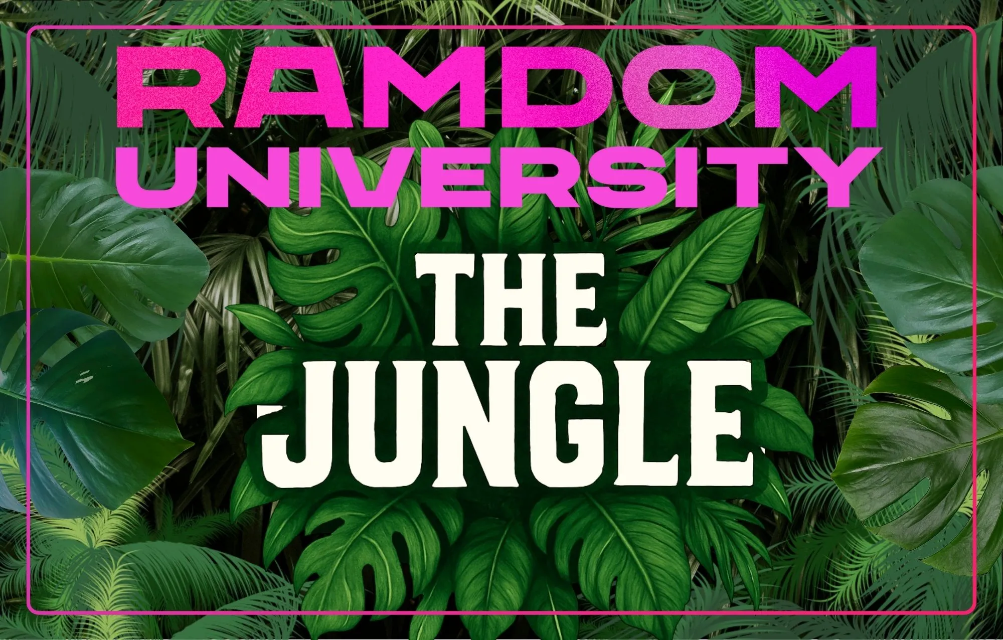 banner-web-the-jungle-ramdom