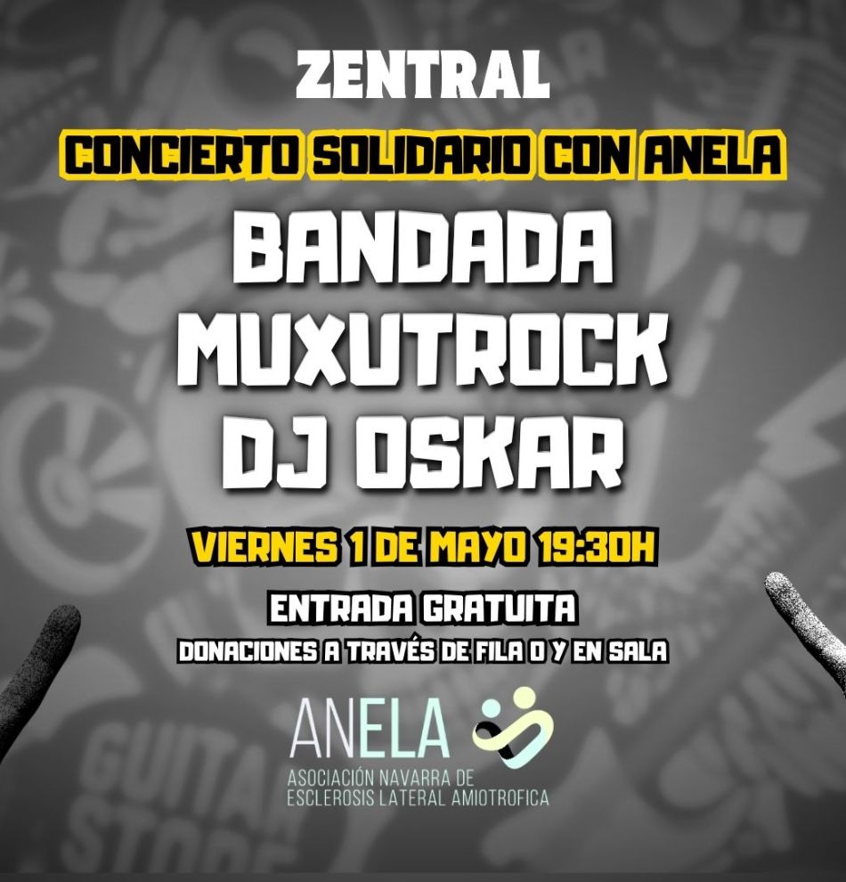 Banner concierto solidario