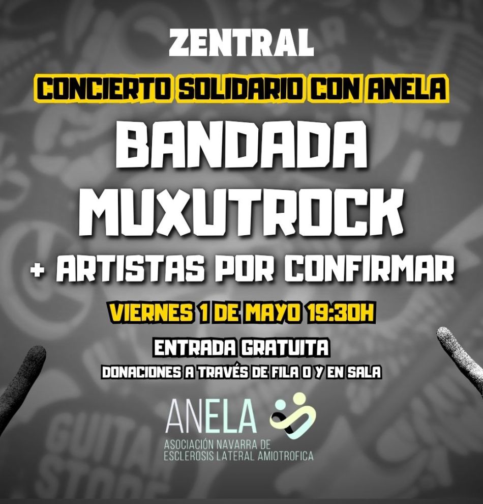 Banner Concierto Solidario ANELA