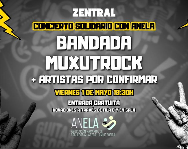 Banner Concierto Solidario ANELA