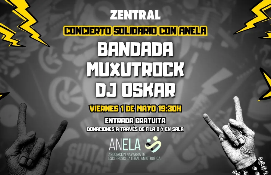 Banner concierto solidario