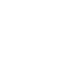 Heineken Silver